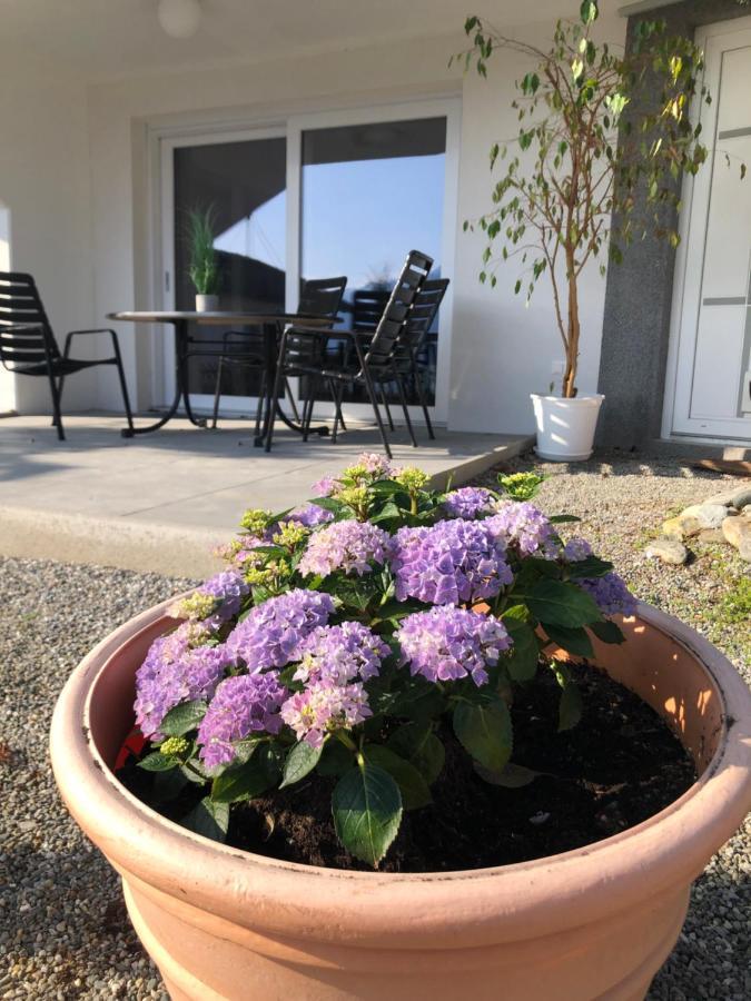 Holiday home Vergiss Mein Nicht *
